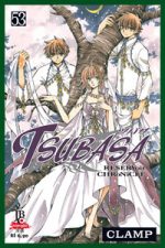 capa de Tsubasa #53