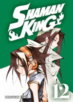 capa de Shaman King BIG #12